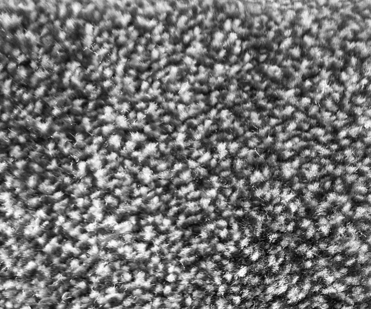 Ravishing Floors product or project image